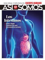 Así Somos - El cuerpo humano